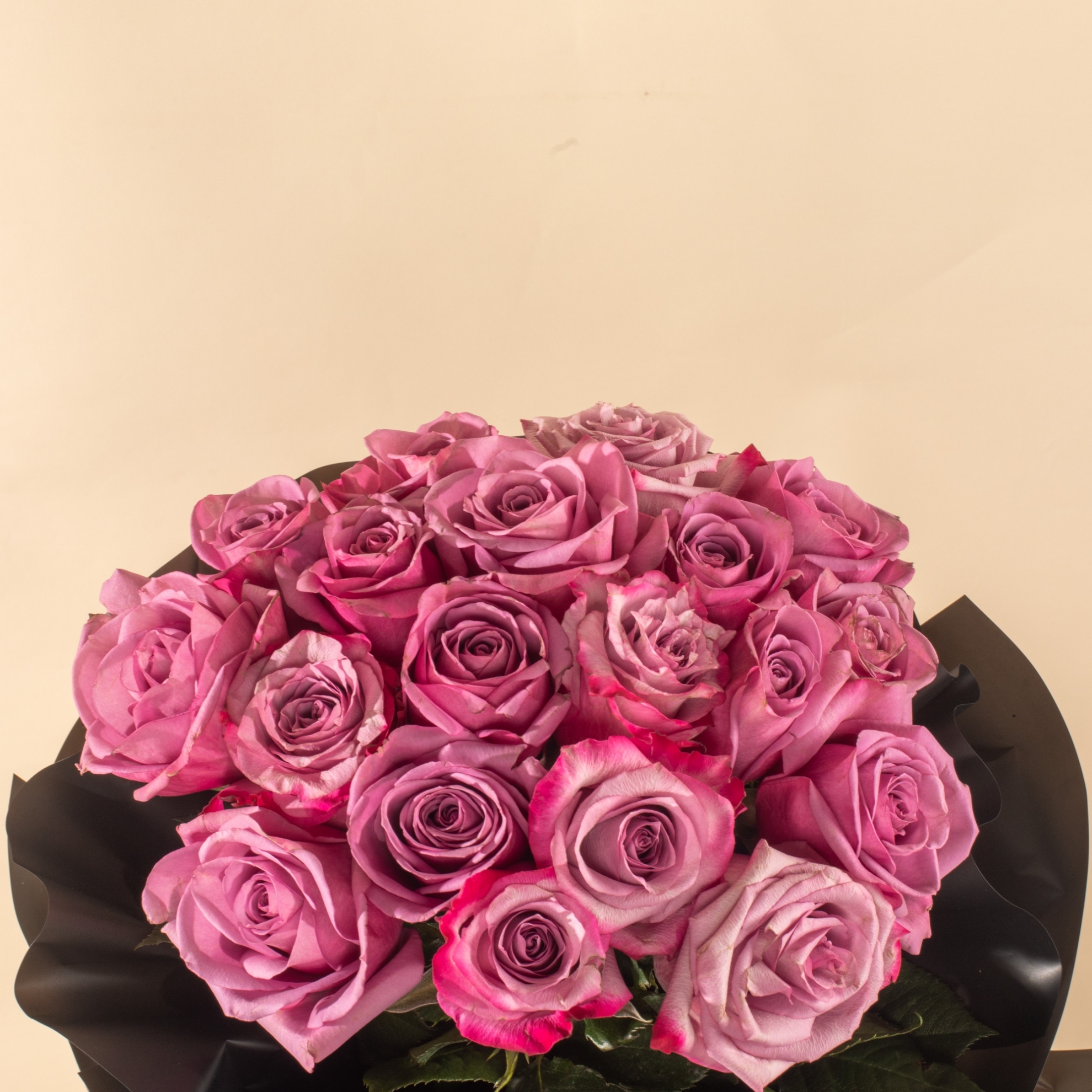 Picture of 20 Purple Roses