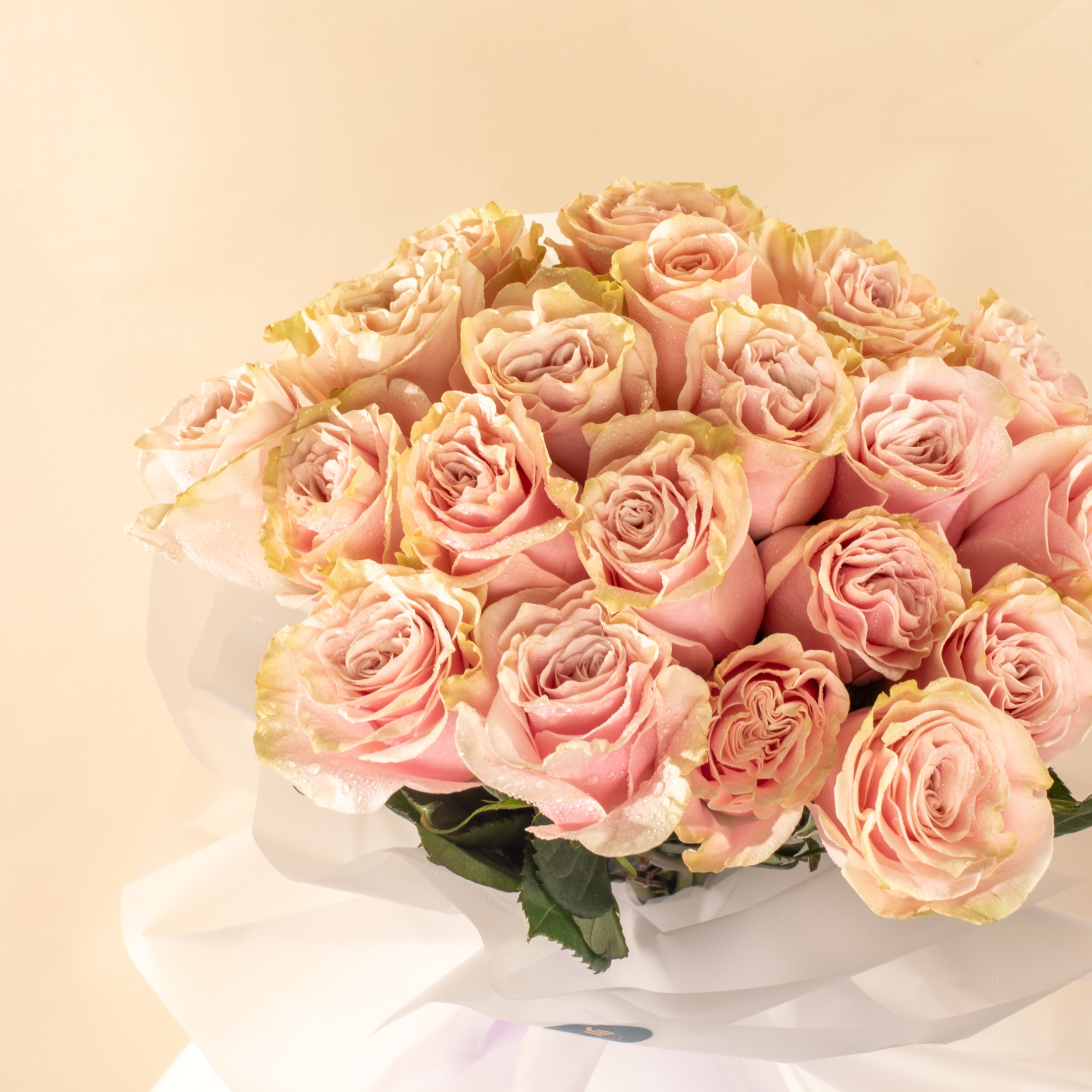 Picture of 20 Pink Roses
