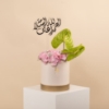 Picture of Get Well Soon Flowers Box | Anthurium Green