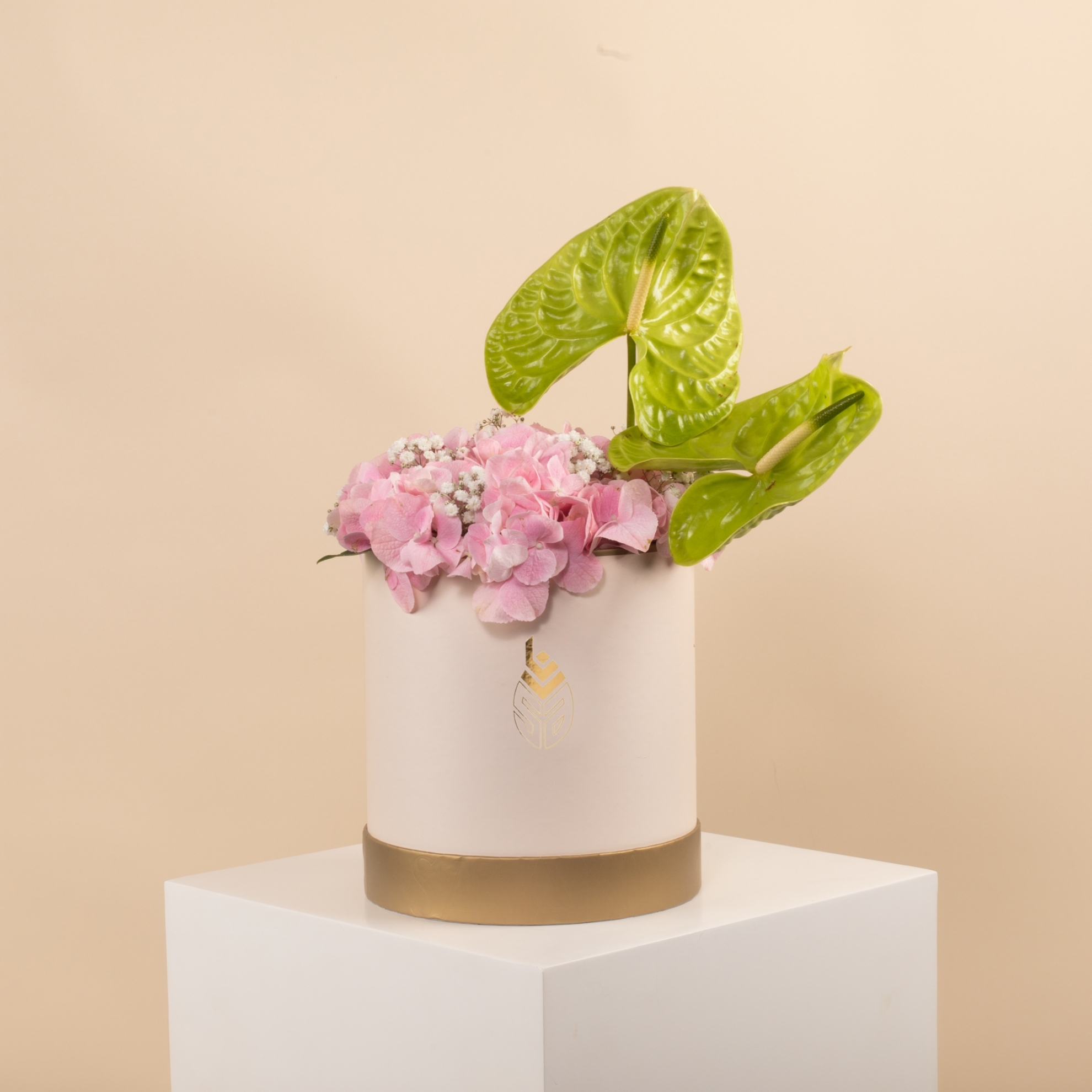 Picture of Get Well Soon Flowers Box | Anthurium Green