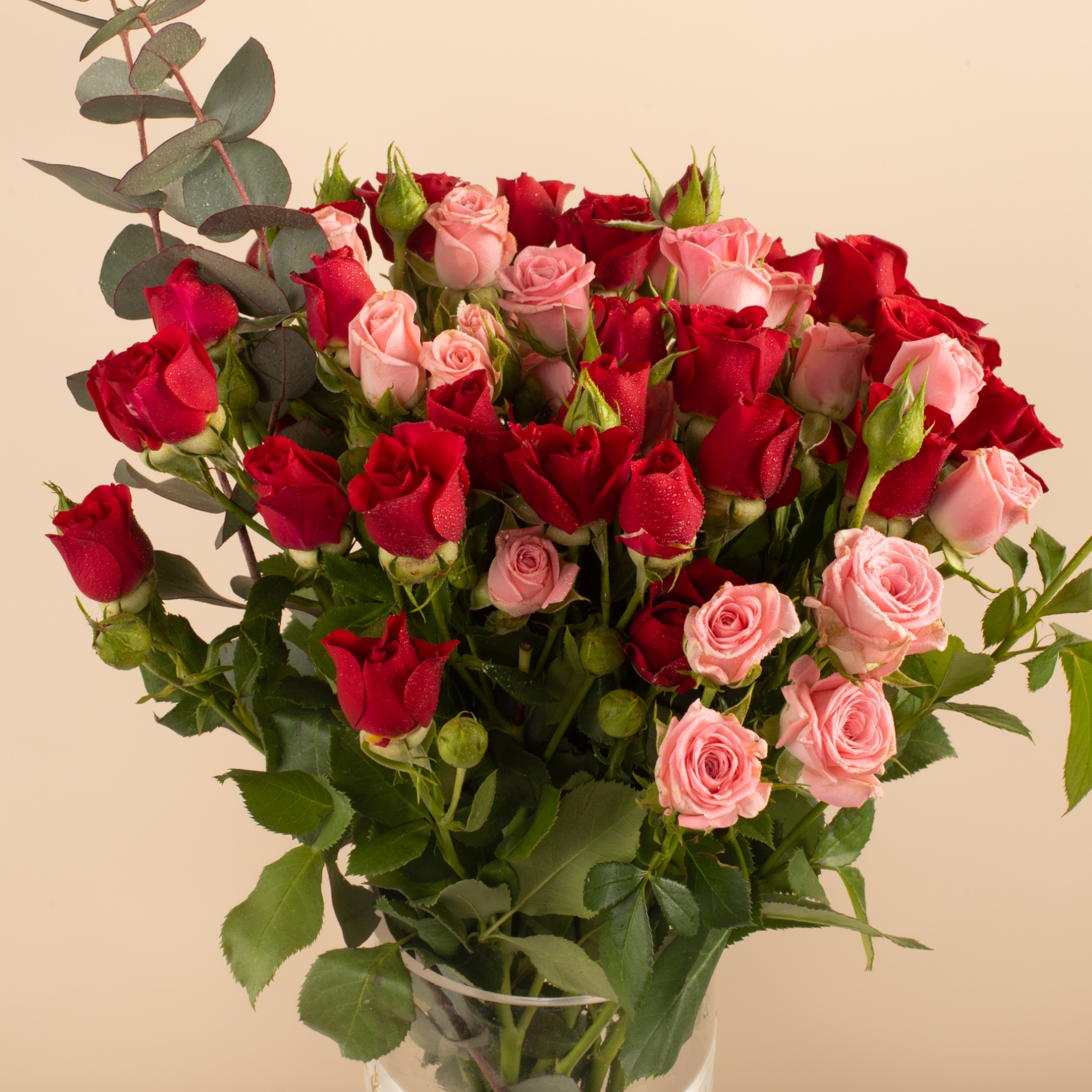 Picture of Savanna Flowers  Vase |baby Rose Red & Pink