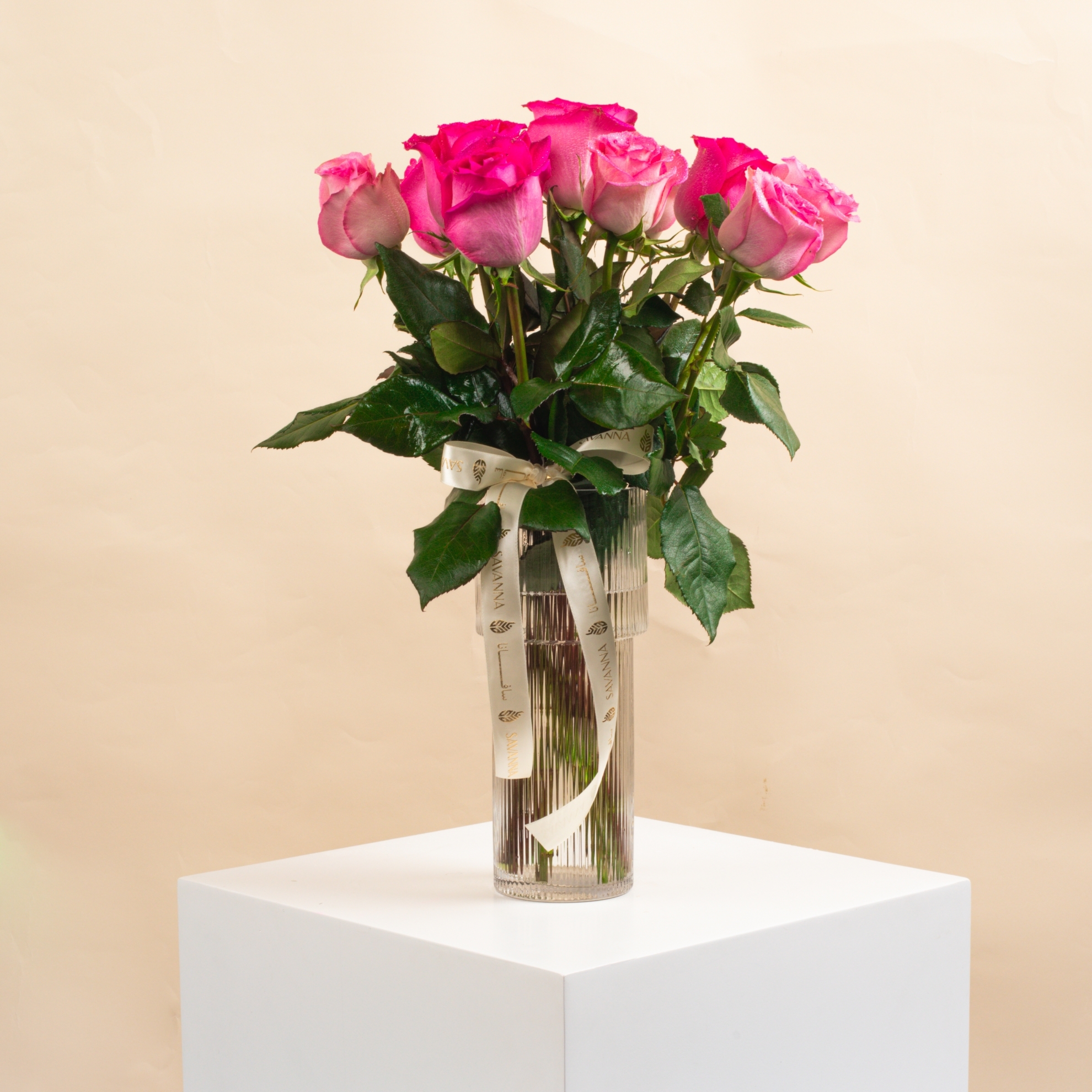 Picture of 8 Fuchsia Rose